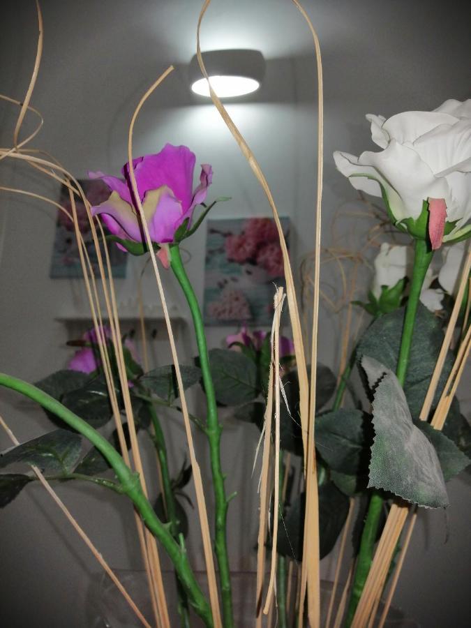 Ferienwohnung La Casa Di Chiara Taviano  Exterior foto